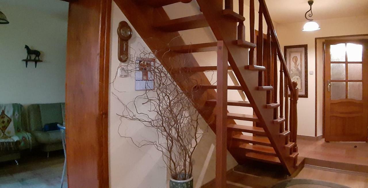 Dom Nad Wisla Villa Czernichow  Eksteriør bilde