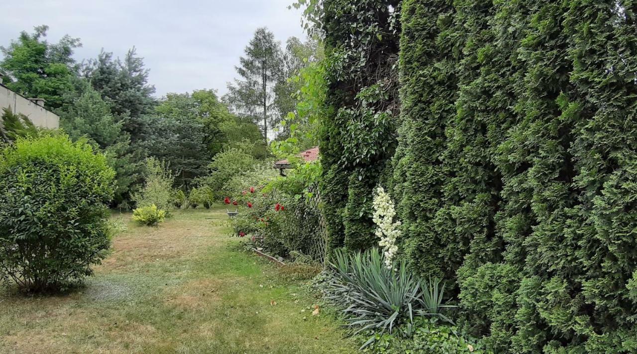 Dom Nad Wisla Villa Czernichow  Eksteriør bilde