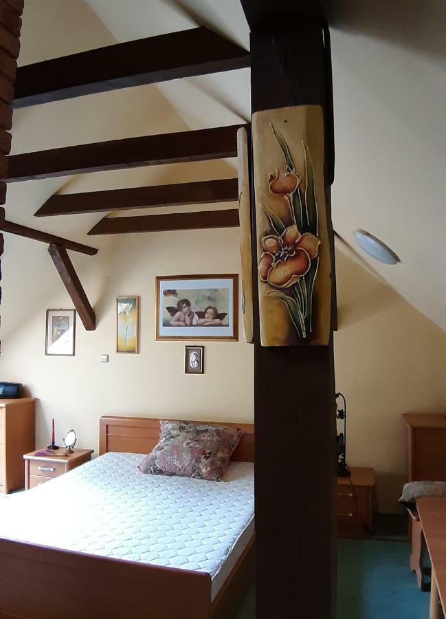 Dom Nad Wisla Villa Czernichow  Eksteriør bilde